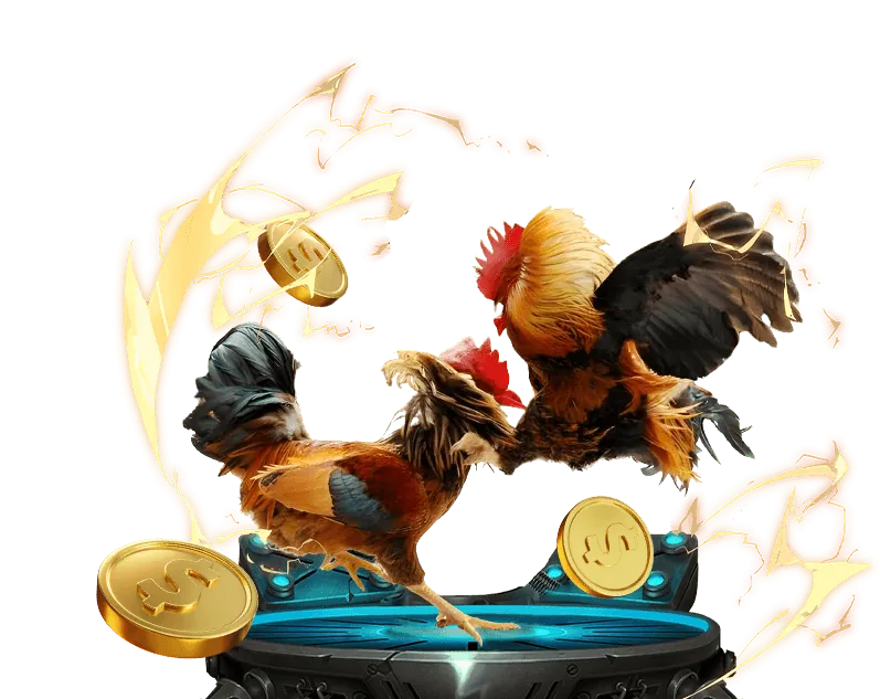 Người chơi đang học hỏi chiến thuật game trên Sunwin